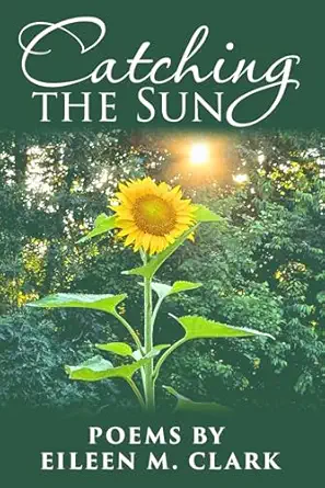 Stone Bridge Publishers